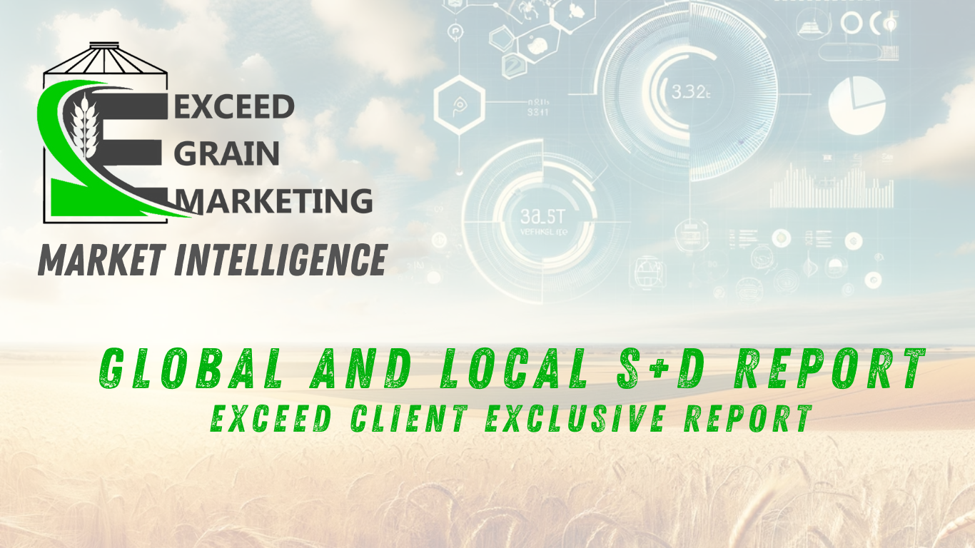 Read more about the article Exceed Client Exclusive – Global Report