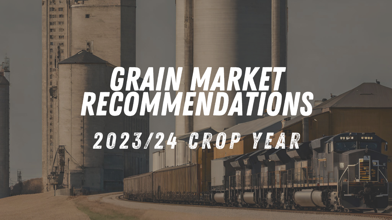 Read more about the article 2023/24 Grain Marketing Recommendations