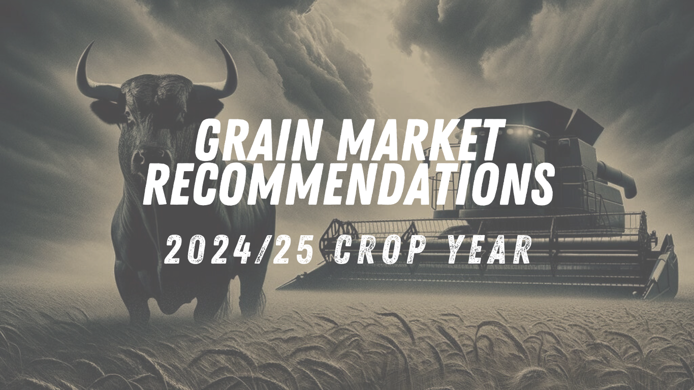 Read more about the article 2024/25 Grain Marketing Recommendations