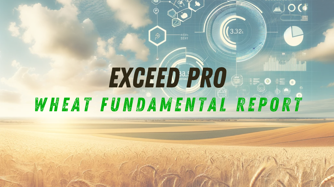 Read more about the article EXCEED PRO – WHEAT FUNDAMENTAL REPORT