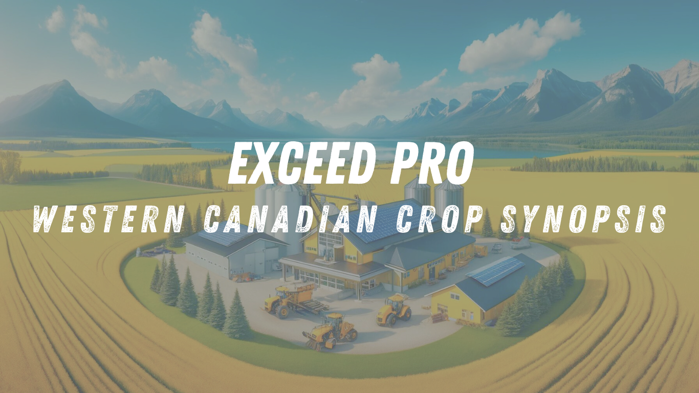 Read more about the article Western Canadian Crop Marketing – December 20th